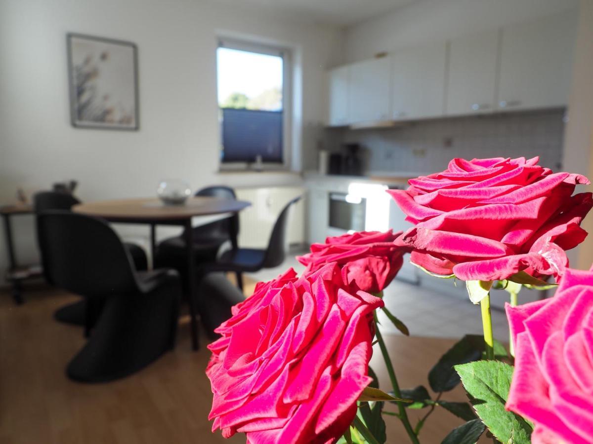 Meerfarbig - Terrasse Mit Strandkorb Oder Balkon - E-ladesaeule - Parkplatz - Wlan - Fahrradschuppen - Waschtrockner - Ruhig Und Zentral - Haustierfrei - Nichtraucher * Zingst
