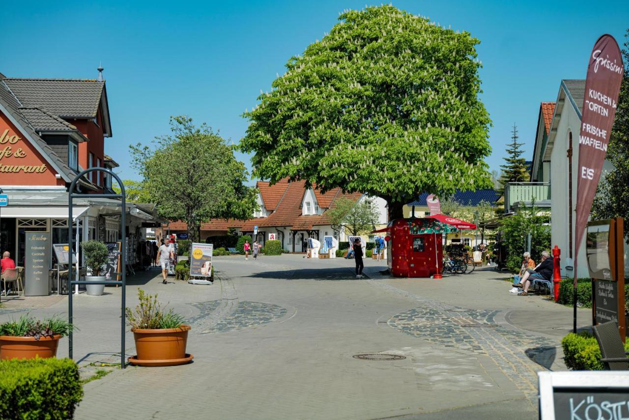Meerfarbig * Ostseeheilbad Zingst